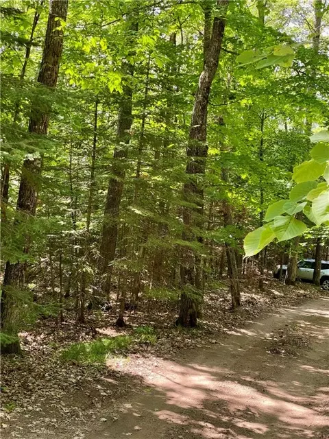 46785 Twin Pines Ln, Cable, WI 54821 photo 20