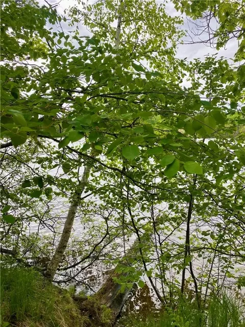 46785 Twin Pines Ln, Cable, WI 54821 photo 18