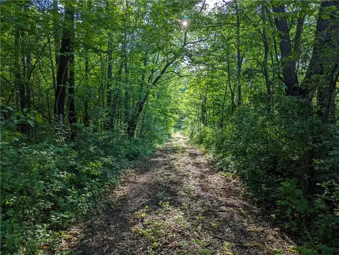 n6843 Shamrock Lake Road, Hawkins, WI 54530