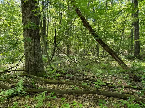 E12575 Tower Road, Boyd, WI 54726 photo 20