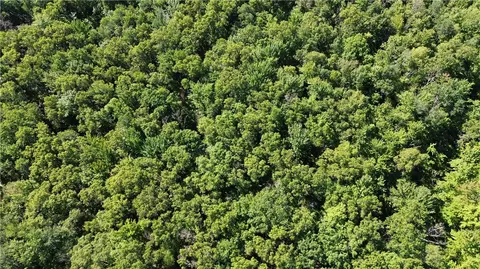 E12575 Tower Road, Boyd, WI 54726 photo 7
