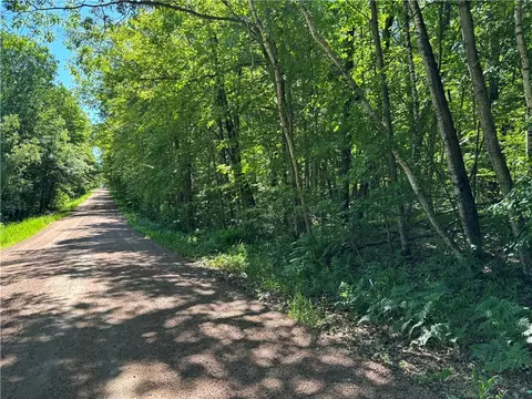E12575 Tower Road, Boyd, WI 54726 photo 13