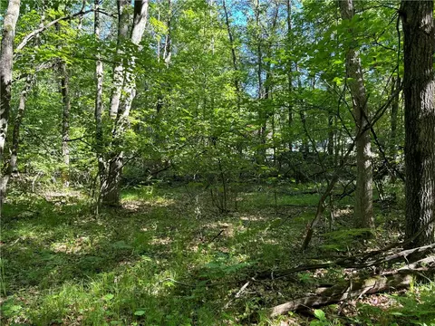 E12575 Tower Road, Boyd, WI 54726 photo 18