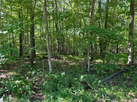 E12575 Tower Road, Boyd, WI 54726 photo 14