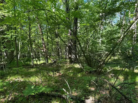 E12575 Tower Road, Boyd, WI 54726 photo 17