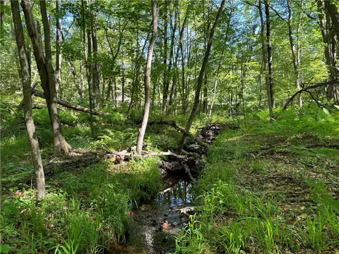 E12575 Tower Road, Boyd, WI 54726 photo 21