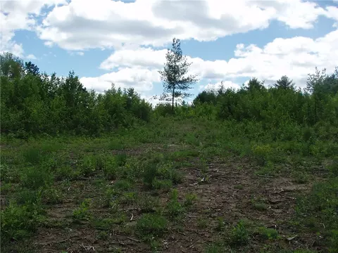 N14223 W Central Avenue, Fifield, WI 54524 photo 32