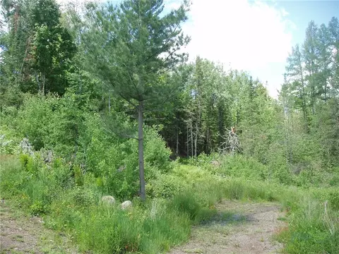 N14223 W Central Avenue, Fifield, WI 54524 photo 34