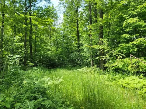 00 Cedar Swamp Rd, Weyerhaeuser, WI 54895