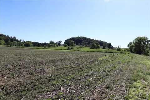 20 Acres Bartig Rd, Augusta, WI 54722 photo 14