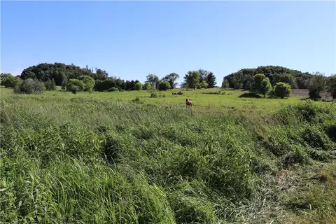 20 Acres Bartig Rd, Augusta, WI 54722 photo 24