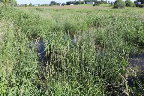 20 Acres Bartig Rd, Augusta, WI 54722 photo 23