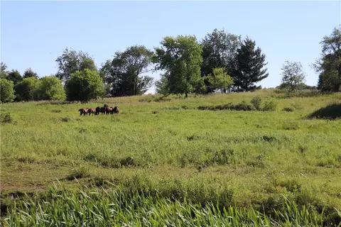 20 Acres Bartig Rd, Augusta, WI 54722 photo 17