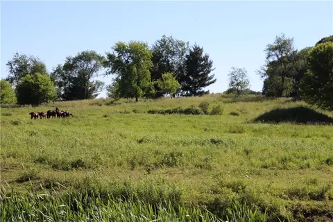 20 Acres Bartig Rd, Augusta, WI 54722 photo 20