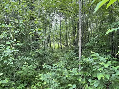 6150 Pike Lake Rd, Webster, WI 54893 photo 16