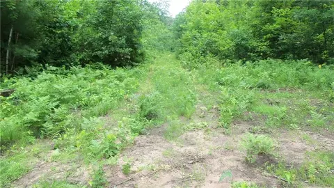 7032 Pinewood Trl, Webster, WI 54893 photo 6