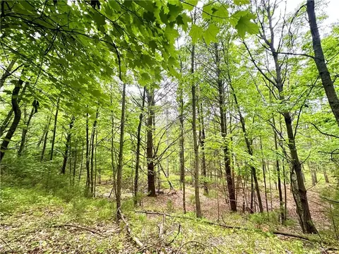 0 County Highway B, Humbird, WI 54746