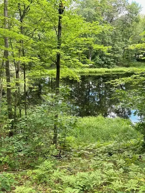w9617 Mckenzie Path, Spooner, WI 54801 photo 5