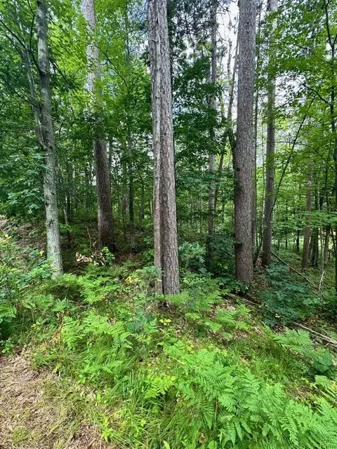 w9617 Mckenzie Path, Spooner, WI 54801 photo 12