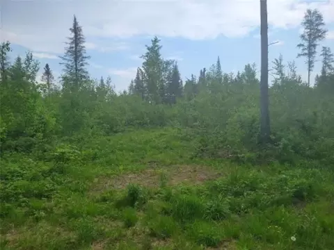 79 Acres Near Mertig Rd, Glidden, WI 54527