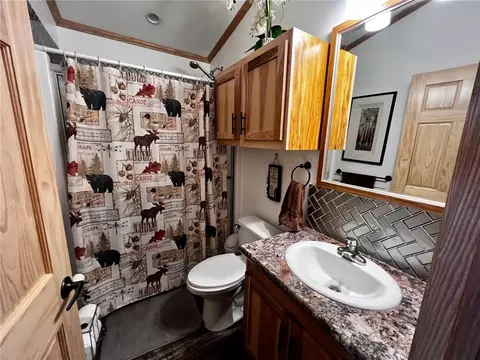 451 Birch St, Cadott, WI 54727 photo 17