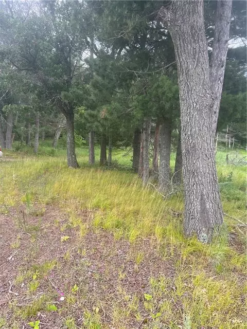 Undisclosed, Webster, WI 54893 photo 15