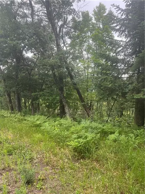 Undisclosed, Webster, WI 54893 photo 18