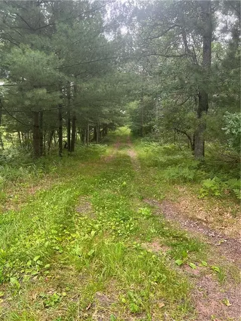 Undisclosed, Webster, WI 54893 photo 17
