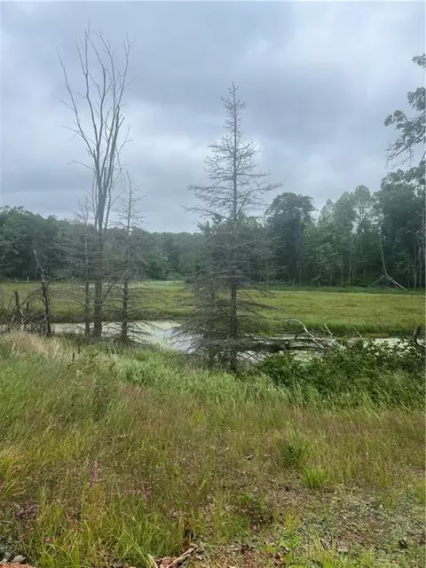Undisclosed, Webster, WI 54893 photo 9