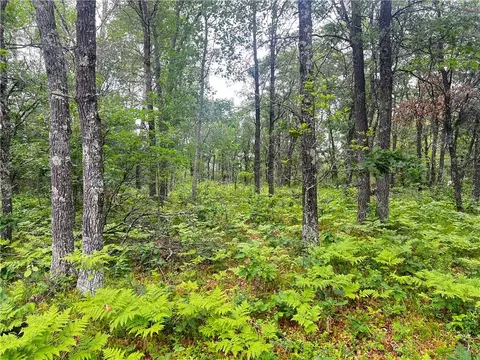 lot9 Flowage Rd, Minong, WI 54859