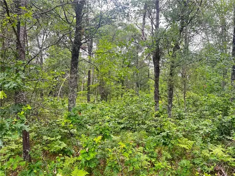 n13775 Flowage Road, Minong, WI 54859