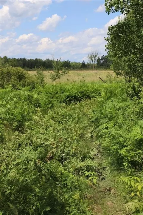 0000 Edgewood Rd, Bruce, WI 54819 photo 34