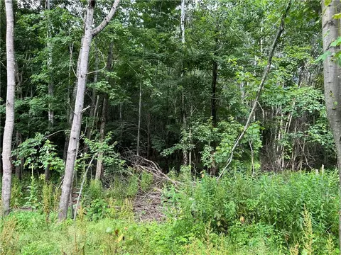 0 954th St, Colfax, WI 54730 photo 6