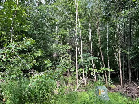 0 954th St, Colfax, WI 54730 photo 3