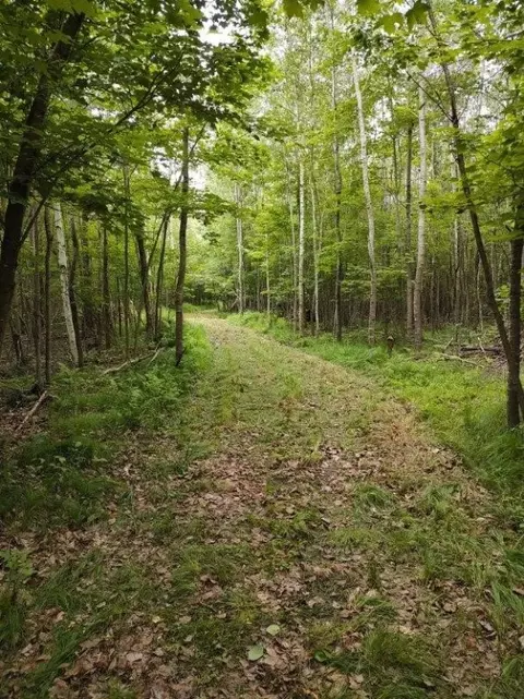 1 County Road Nl, Augusta, WI 54722 photo 20
