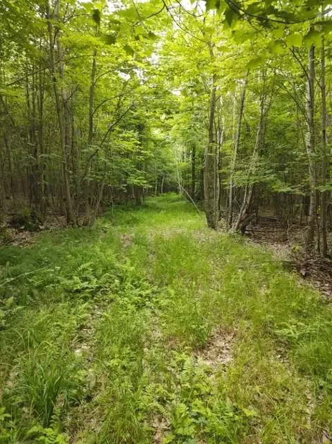 1 County Road Nl, Augusta, WI 54722 photo 5