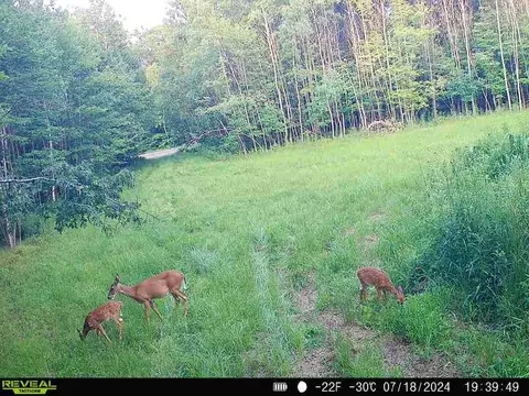 1 County Road Nl, Augusta, WI 54722 photo 24