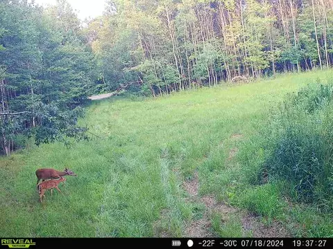 1 County Road Nl, Augusta, WI 54722 photo 23