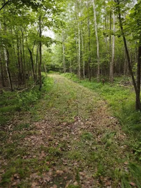 1 County Road Nl, Augusta, WI 54722 photo 19