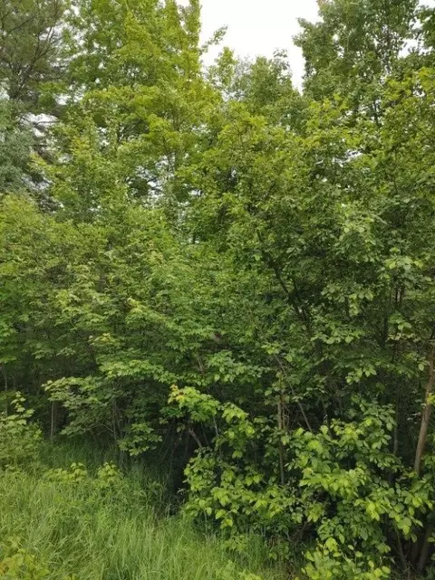 1 County Road Nl, Augusta, WI 54722 photo 15