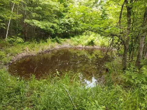 1 County Road Nl, Augusta, WI 54722 photo 10