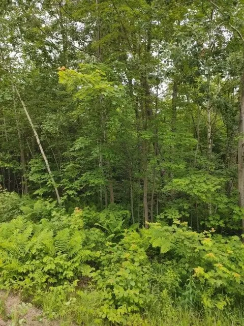1 County Road Nl, Augusta, WI 54722 photo 13