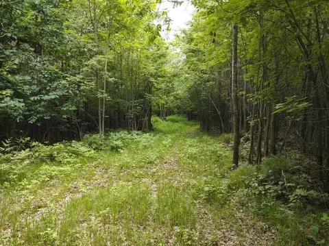 1 County Road Nl, Augusta, WI 54722 photo 9