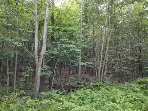 1 County Road Nl, Augusta, WI 54722 photo 8
