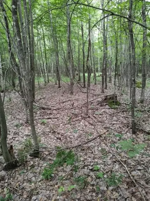 1 County Road Nl, Augusta, WI 54722 photo 11