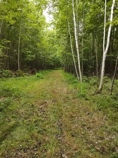 1 County Road Nl, Augusta, WI 54722 photo 22
