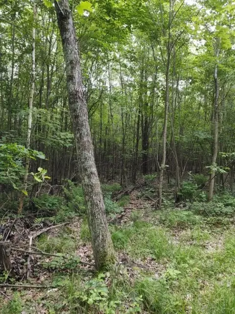 1 County Road Nl, Augusta, WI 54722 photo 7