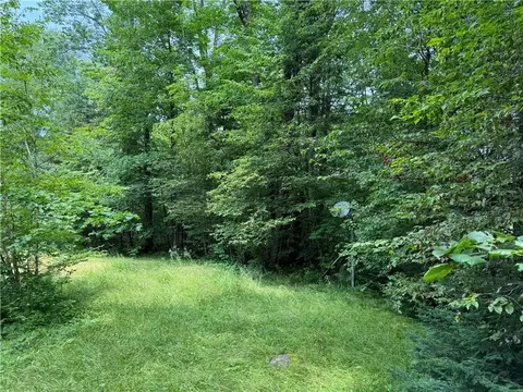 5217 N Tower Rd, Winter, WI 54896
