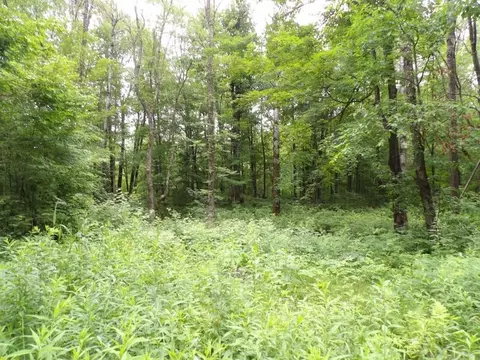 w9499 High Bridge Trail, Phillips, WI 54555 photo 2