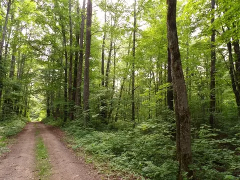 w9499 High Bridge Trail, Phillips, WI 54555 photo 20